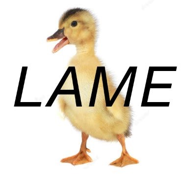lame-duck